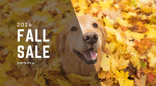 Fall Savings Alert! Get 50% Off the FurTamer® – Our Biggest Sale Yet! - Swinova