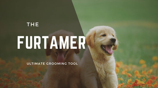 Grooming Made Easy with the FurTamer® – Your Ultimate Tool for a Clean, Shed-Free Home - Swinova