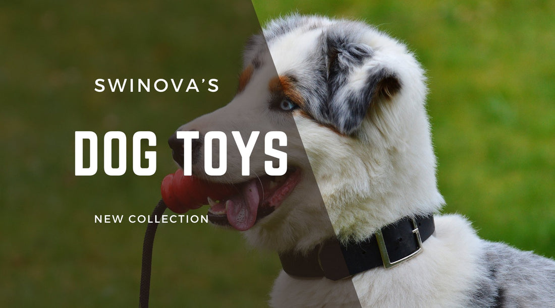 Introducing Swinova's New Dog Toys Collection - Swinova