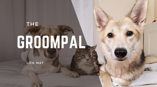 Introducing the GroomPal – The Ultimate Lick Mat for a Calm, Enjoyable Grooming Experience - Swinova